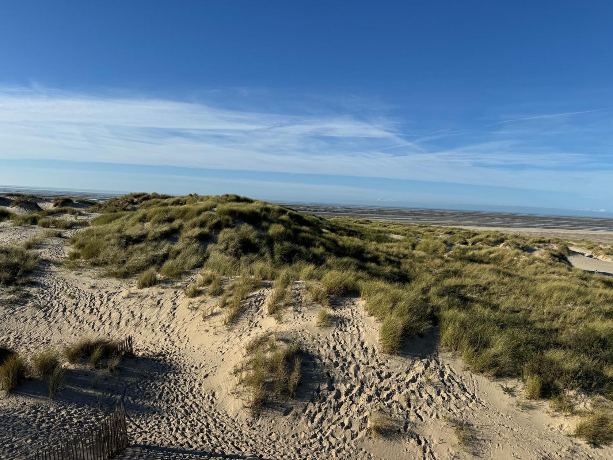 Le Touquet - Superbe Appartement 3 Chambres - Proche Mer & Centre - Wifi מראה חיצוני תמונה